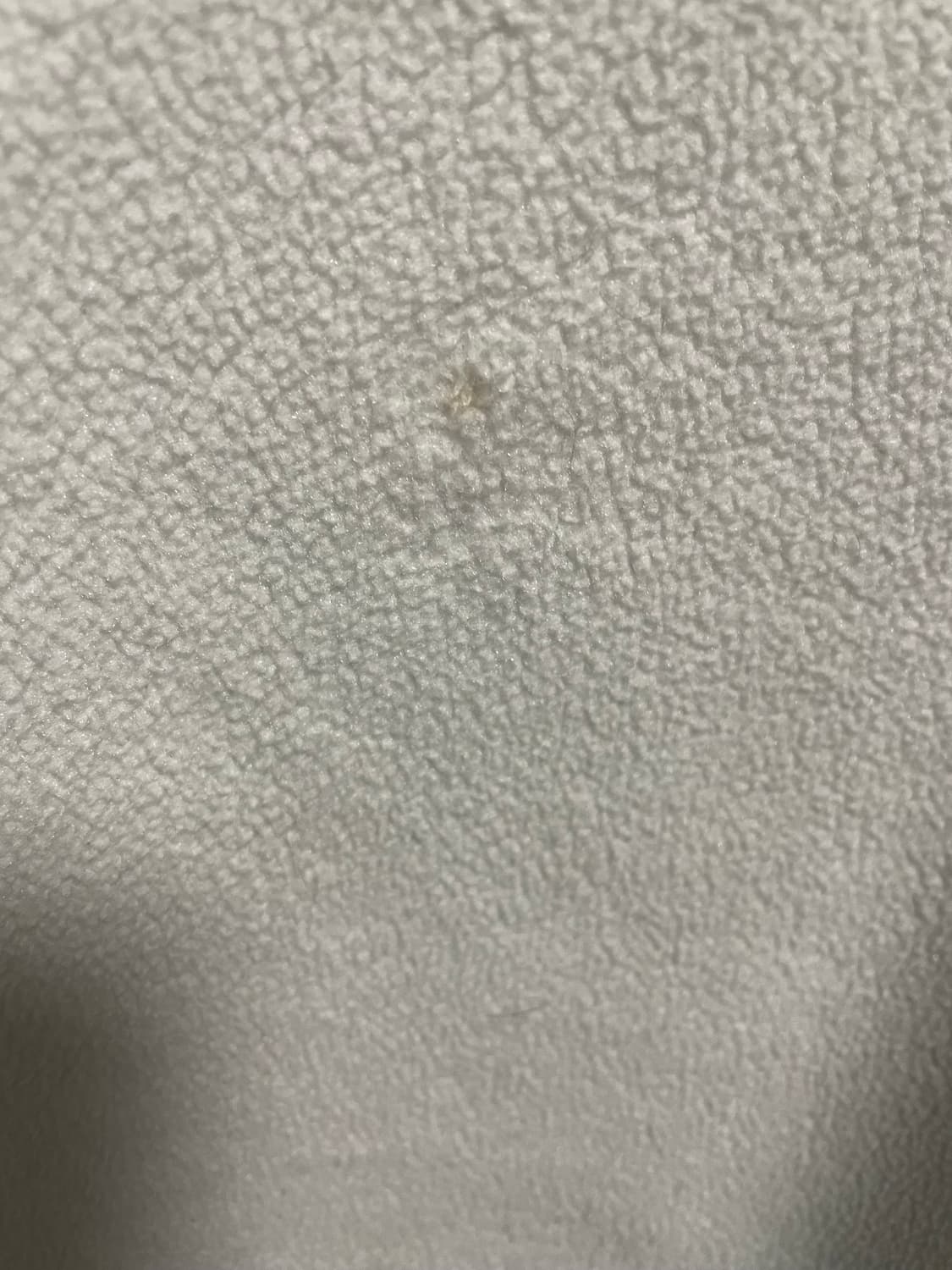 파타고니아 신칠라 m 상품이미지3