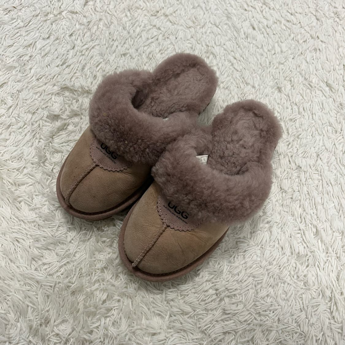 UGG Slippers 상품이미지1