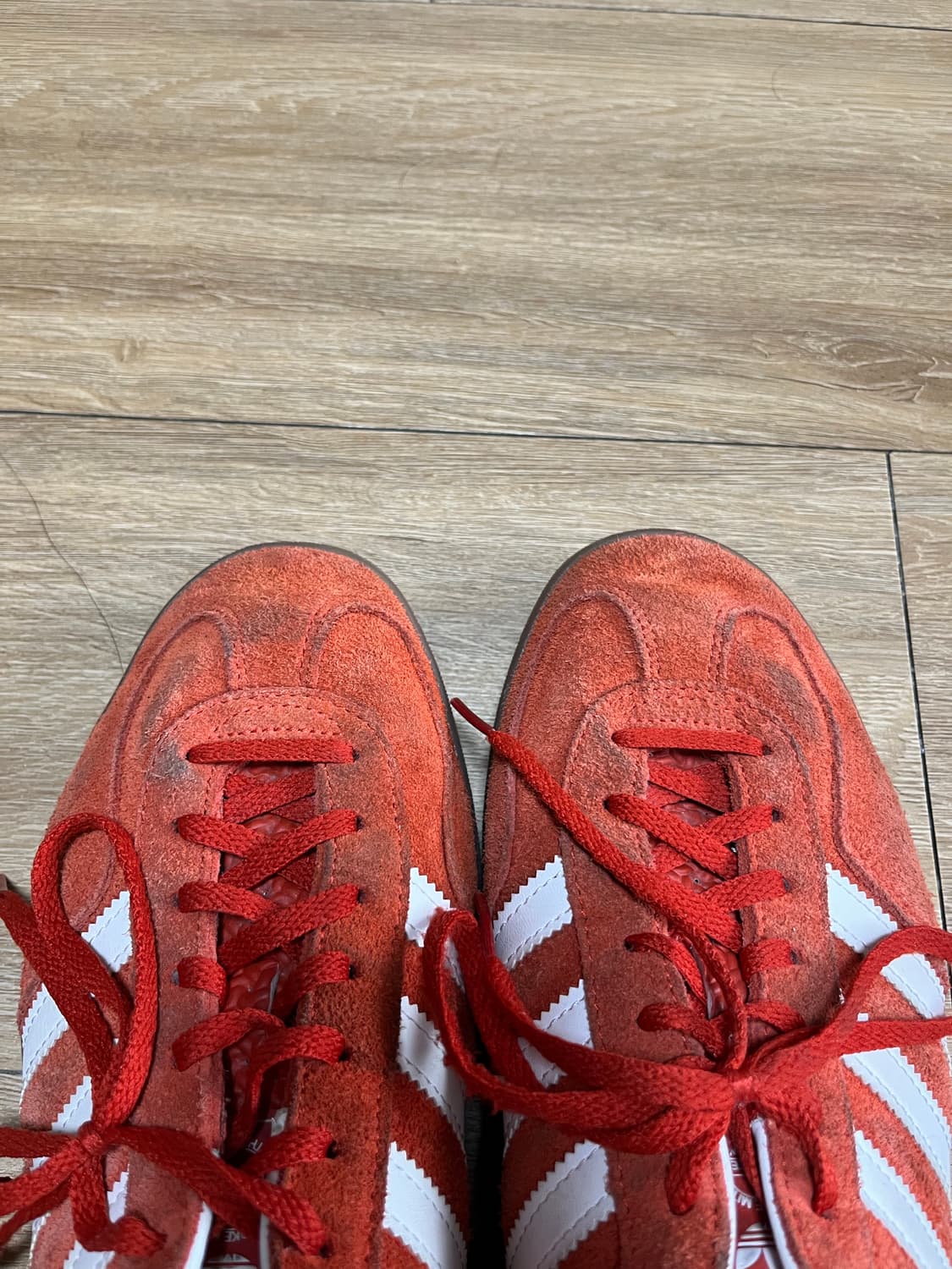 아디다스 가젤 인도어 볼드 오렌지 280 상품이미지2