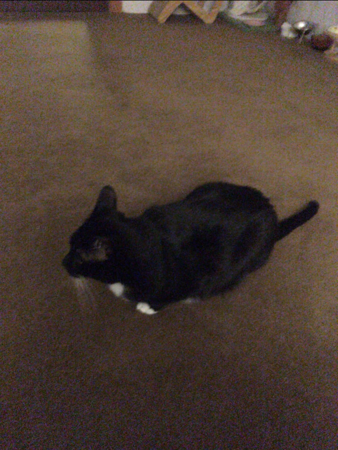 아이폰 6s+ 128GB 순정 상품이미지5