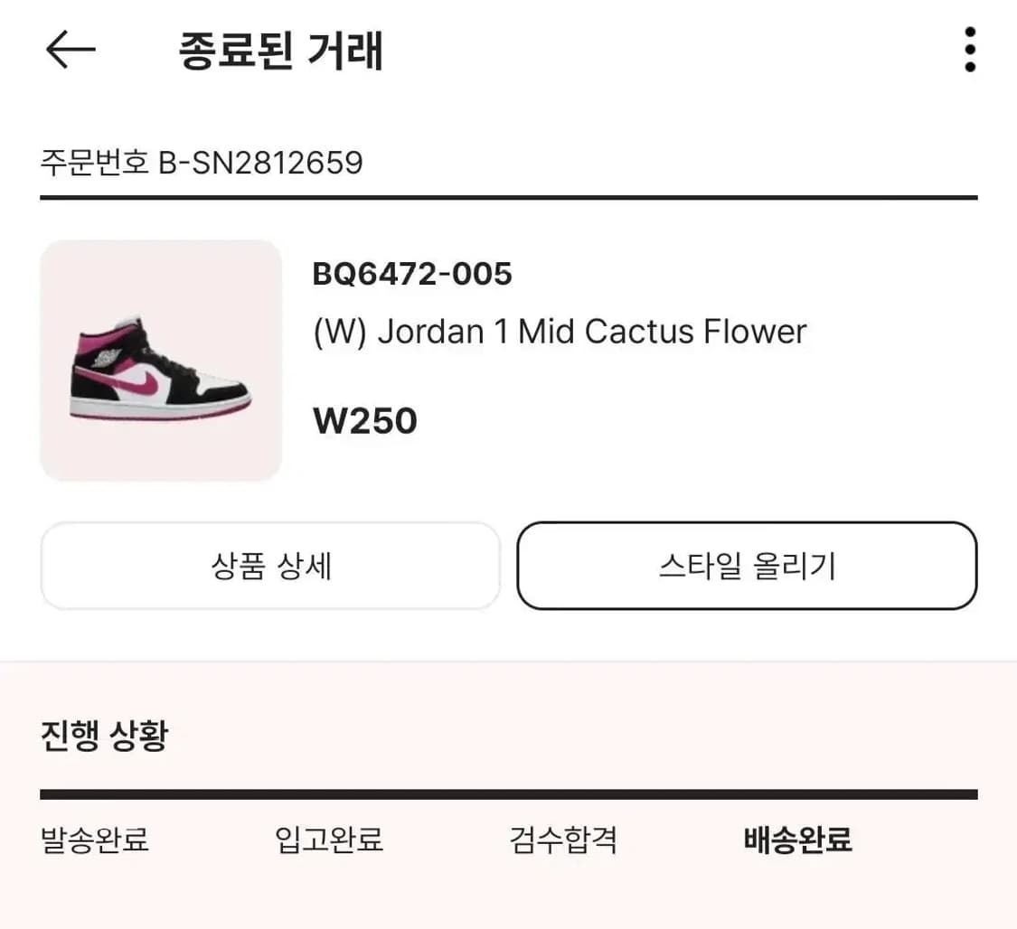 조던 1 미드 캑터스 플라워 W250 상품이미지7