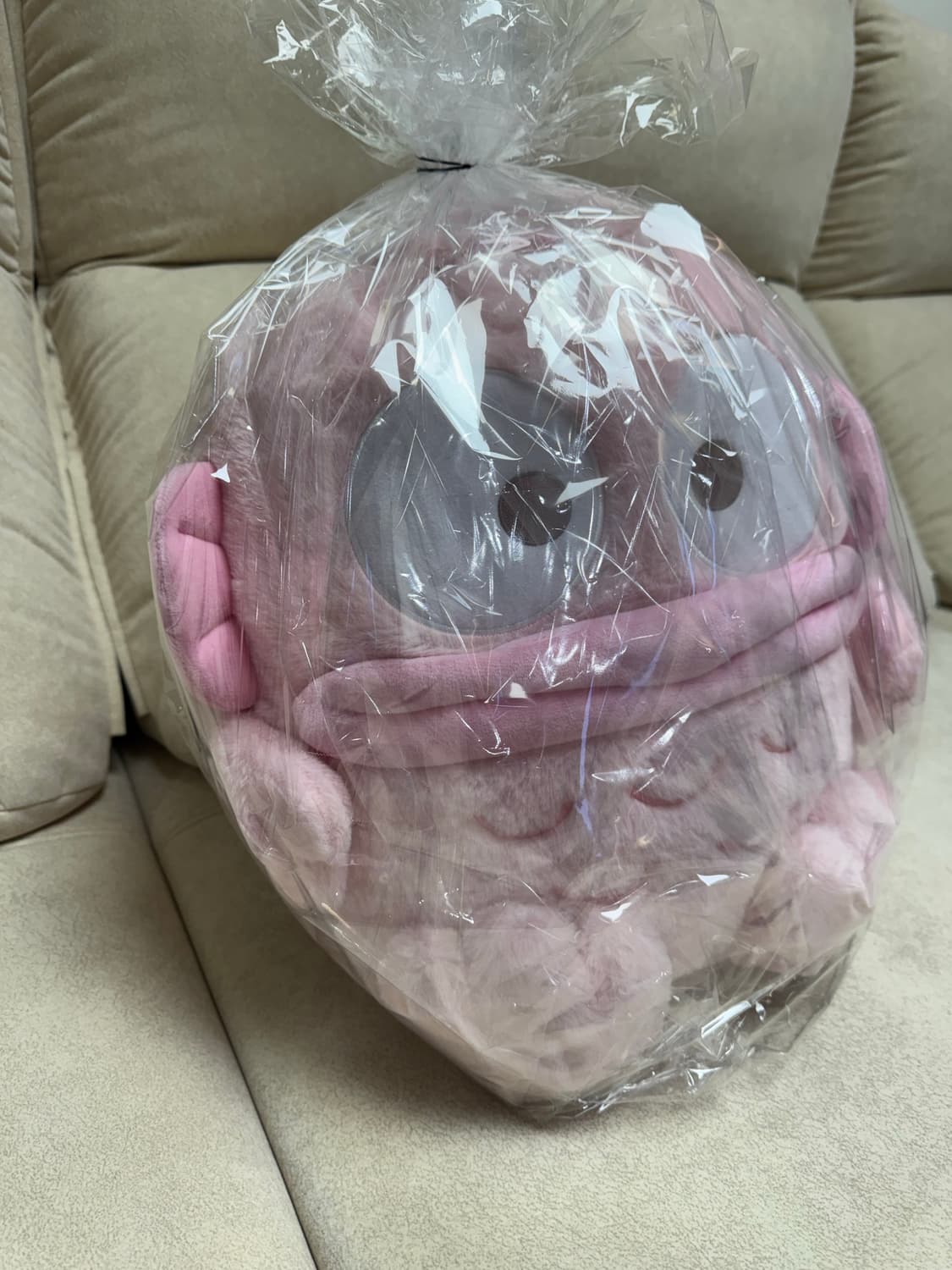 핑크한교동 상품이미지4