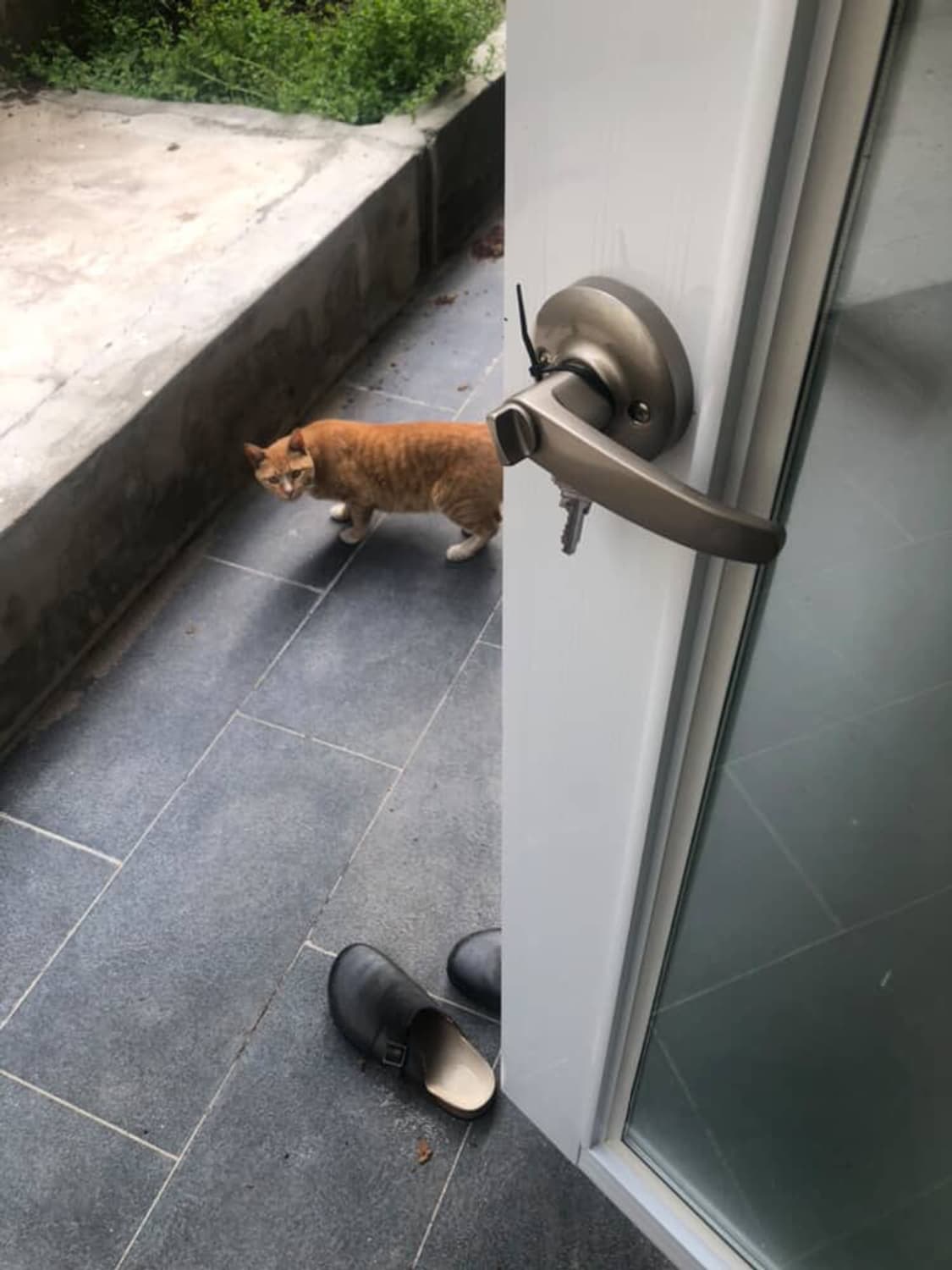 Gu 레더 클로그 샌달 블랙 270 상품이미지10