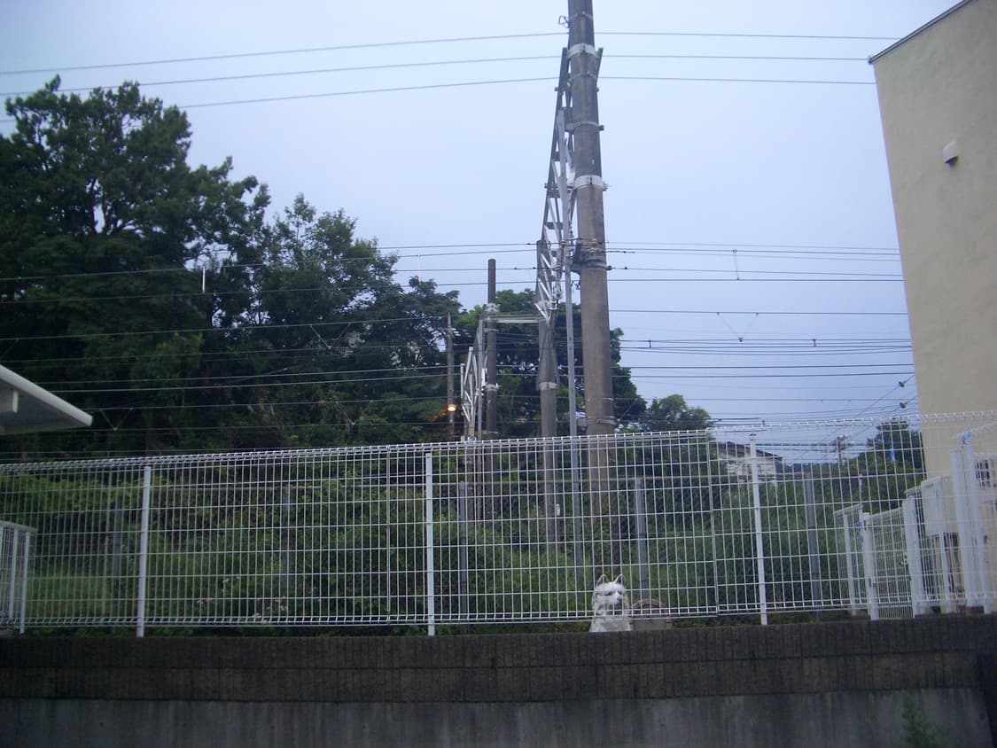 [희귀템] 카시오 EX-Z4 레드 - 크레들 포함 패키지 상품이미지2