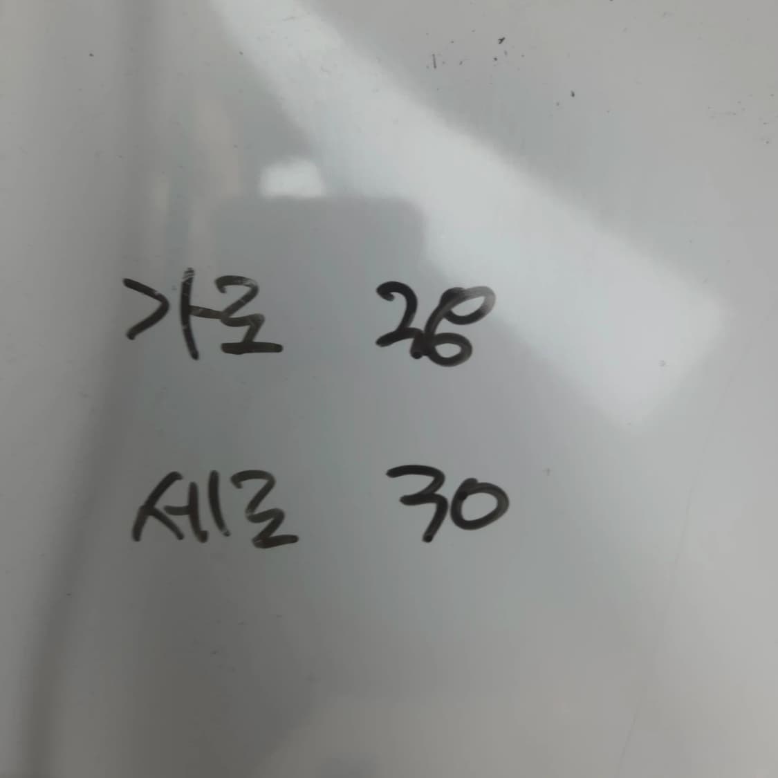 MLB 모노그램 다이아 자카드 쇼퍼백 숄더백 상품이미지8
