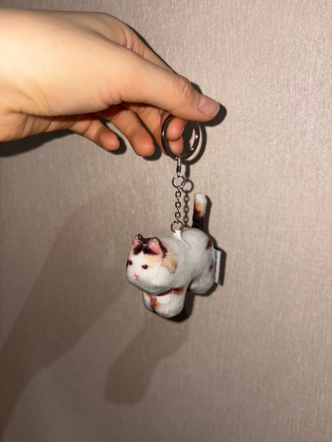 Soft thumnail 소프트섬네일 Jigoo 키링 상품이미지6