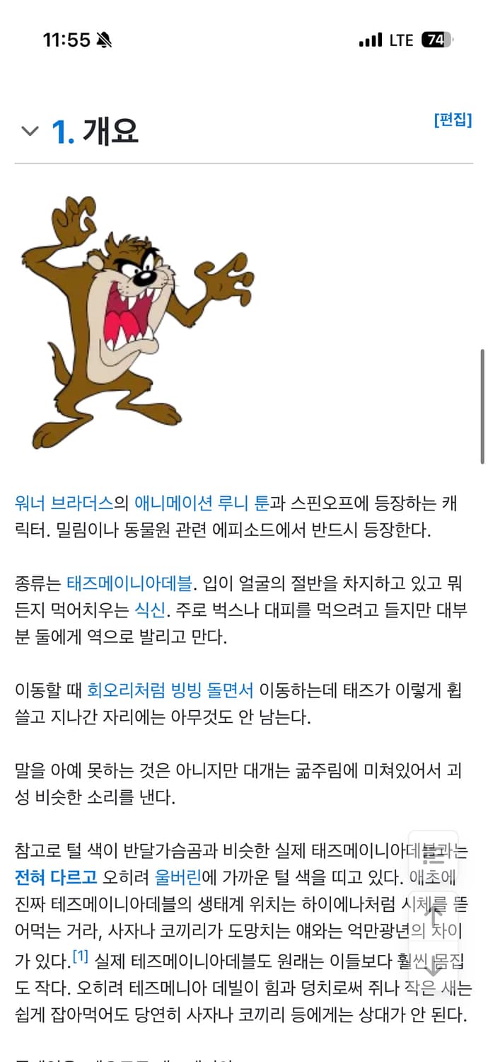 90s 아메리칸 빈티지 루니툰 태즈 스냅백 상품이미지8