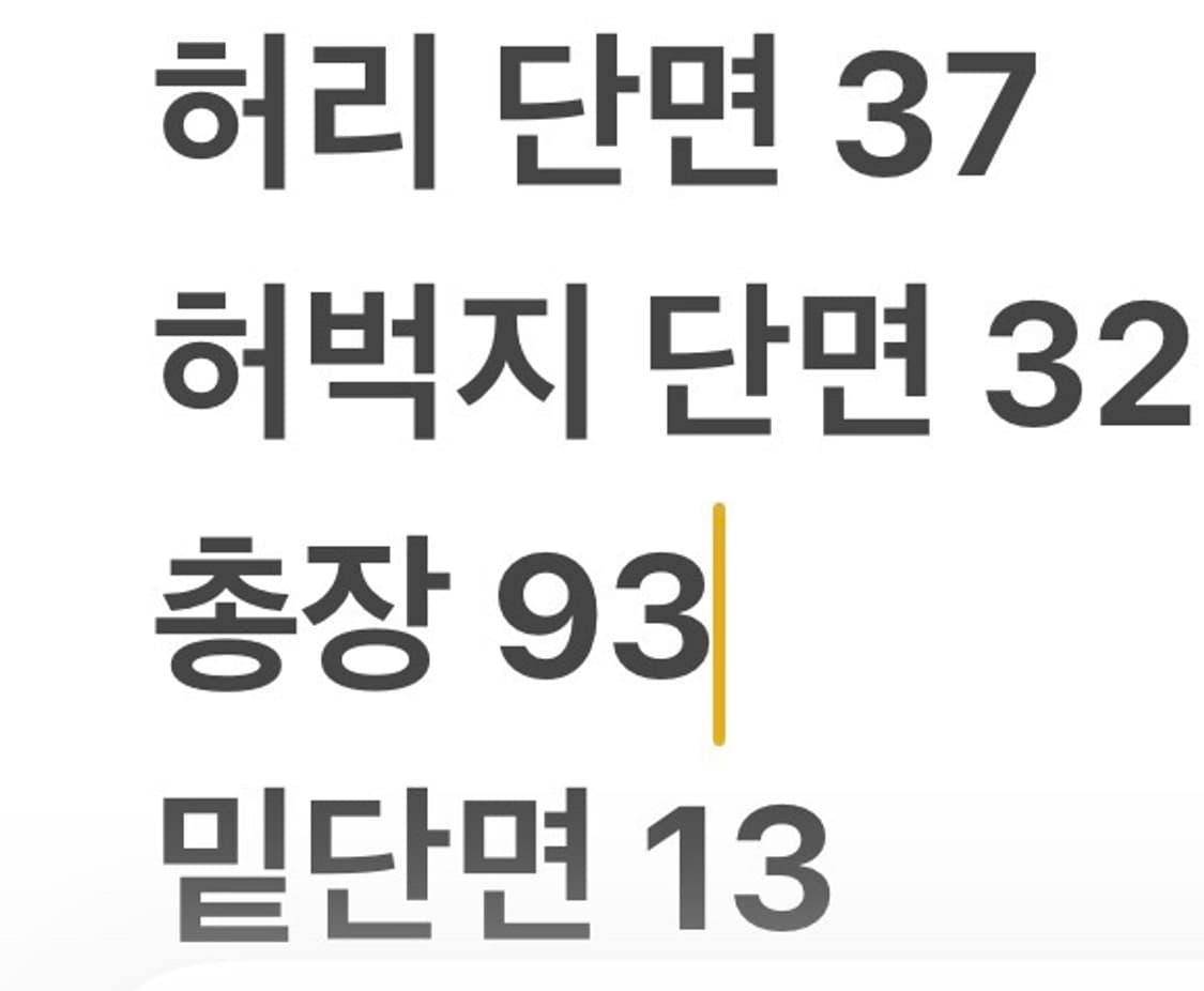 [정품/81] 내셔널지오그래픽 조거 트레이닝 바지 b18 상품이미지8