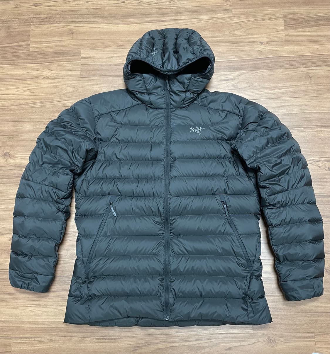 아크테릭스 세륨 후디 블랙 m 상품이미지1