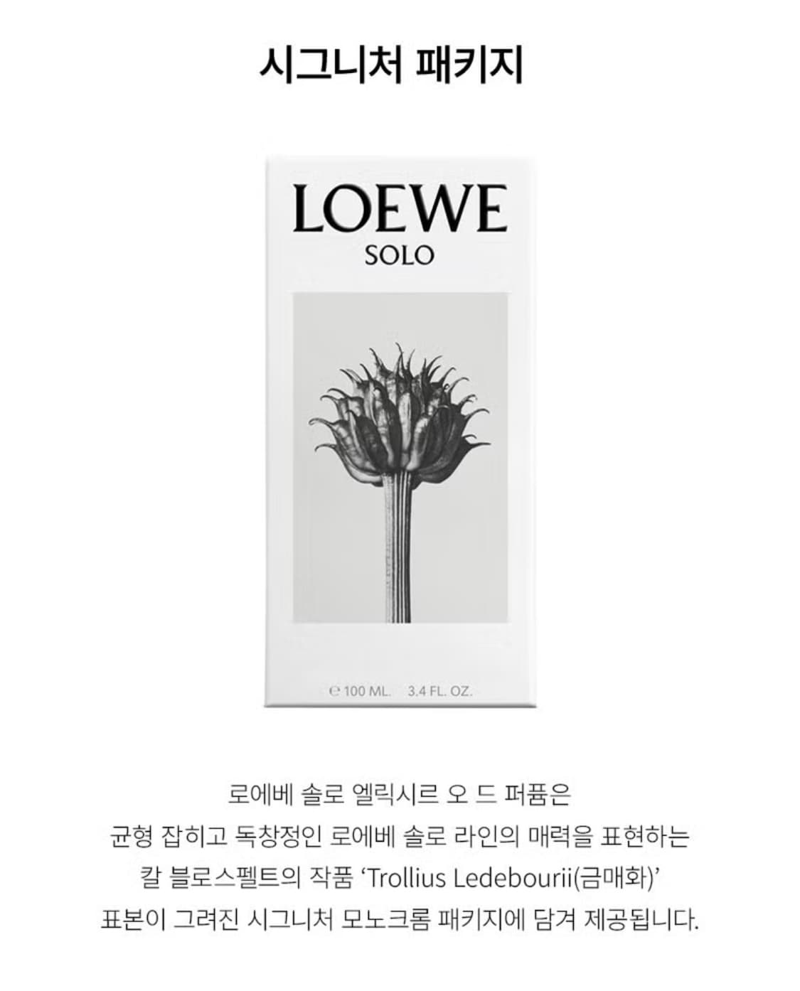 로에베 향수 Solo Elixir ODP 상품이미지6