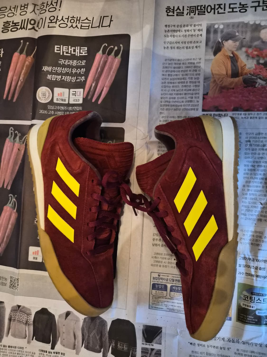 [260] 고샤루브친스키x아디다스 코파 슈퍼 레드 상품이미지3