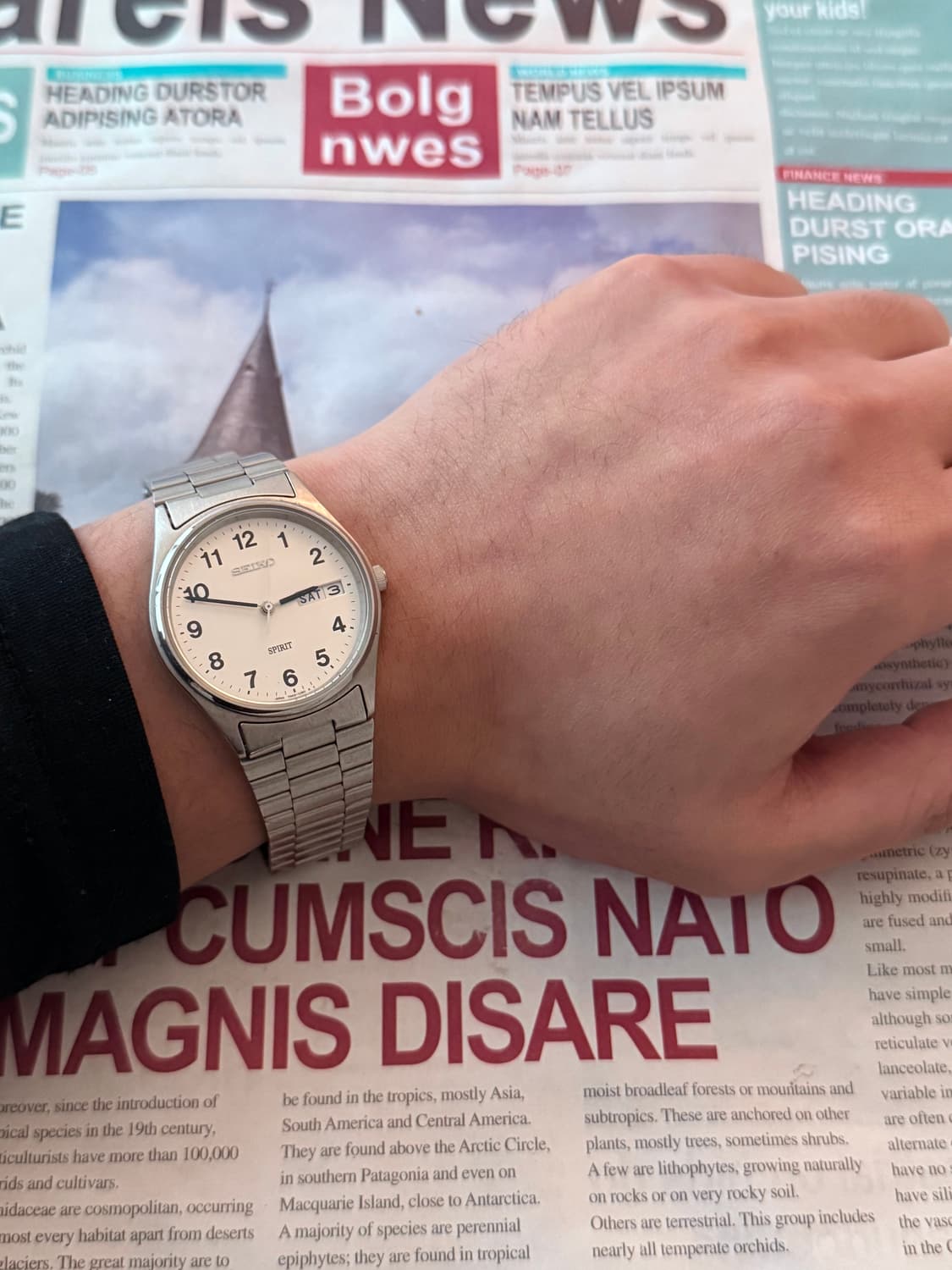 세이코 Seiko 쿼츠 SPRIT 아라빅  상품이미지4