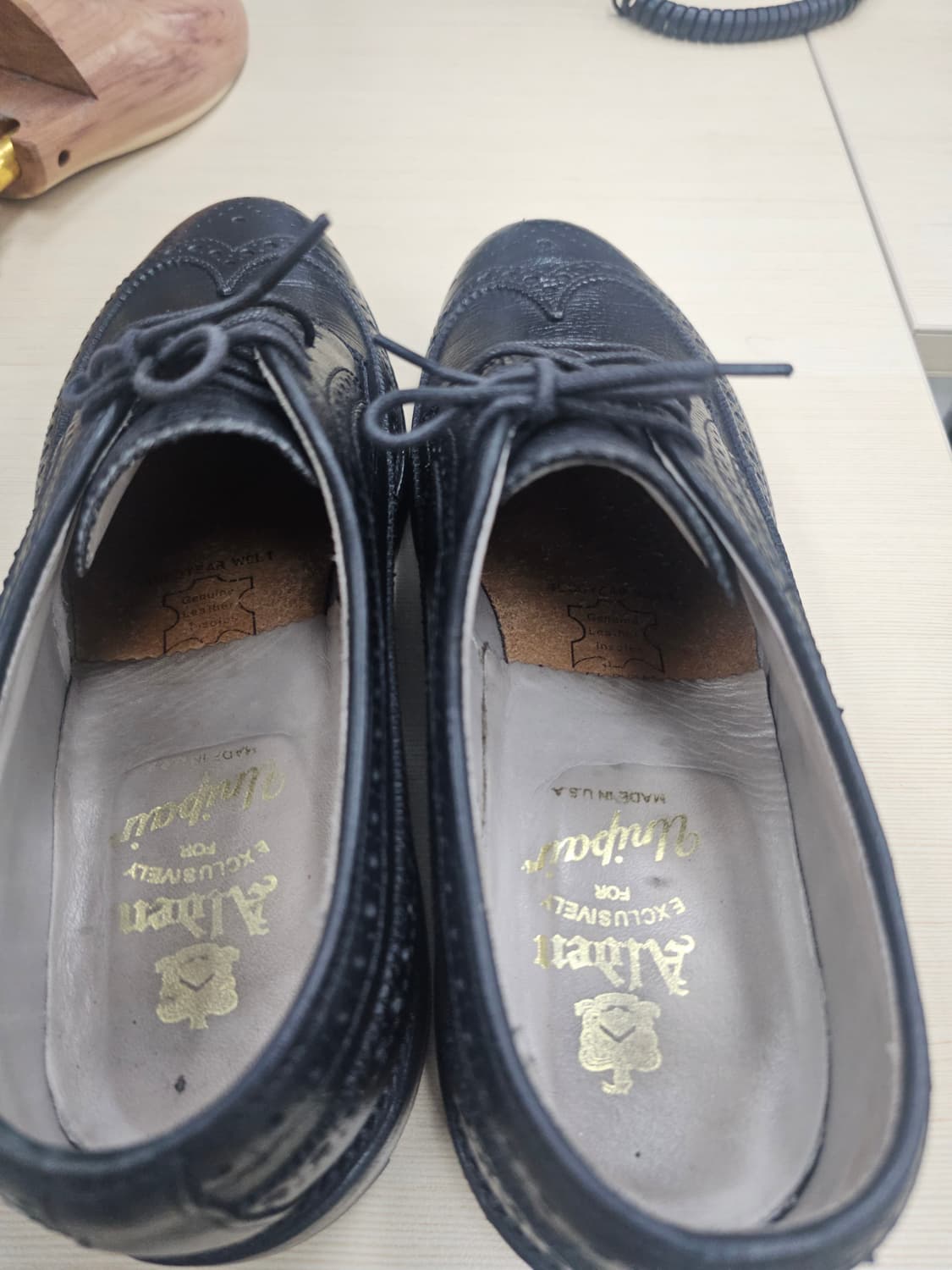 [Alden] 알든 x 유니페어 별주 97721 블랙 롱윙 블러처 상품이미지8