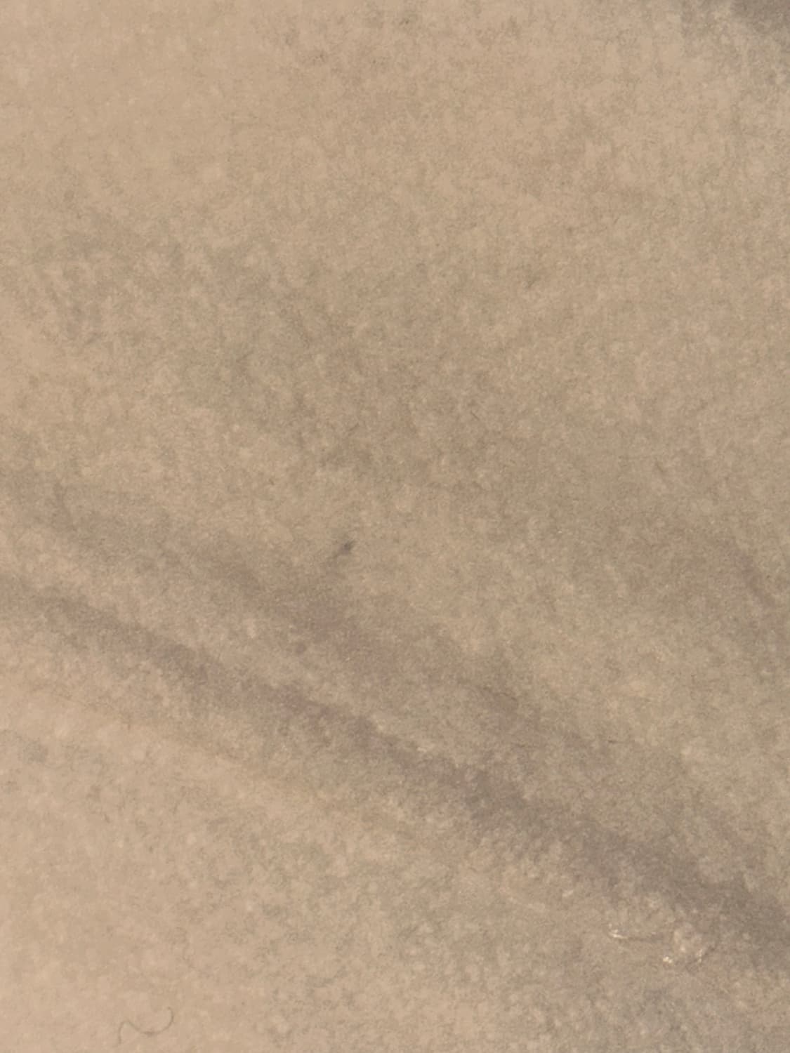 Barbie 퍼 카라 자켓 빈티지 y2k갸루 상품이미지7