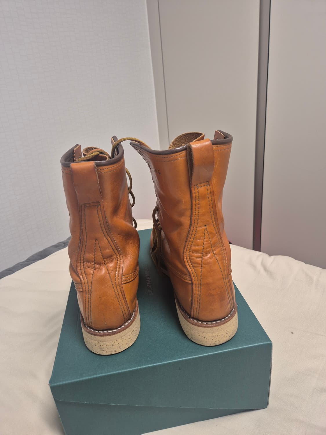 레드윙 아이리쉬세터 9877 판매합니다. 상품이미지3