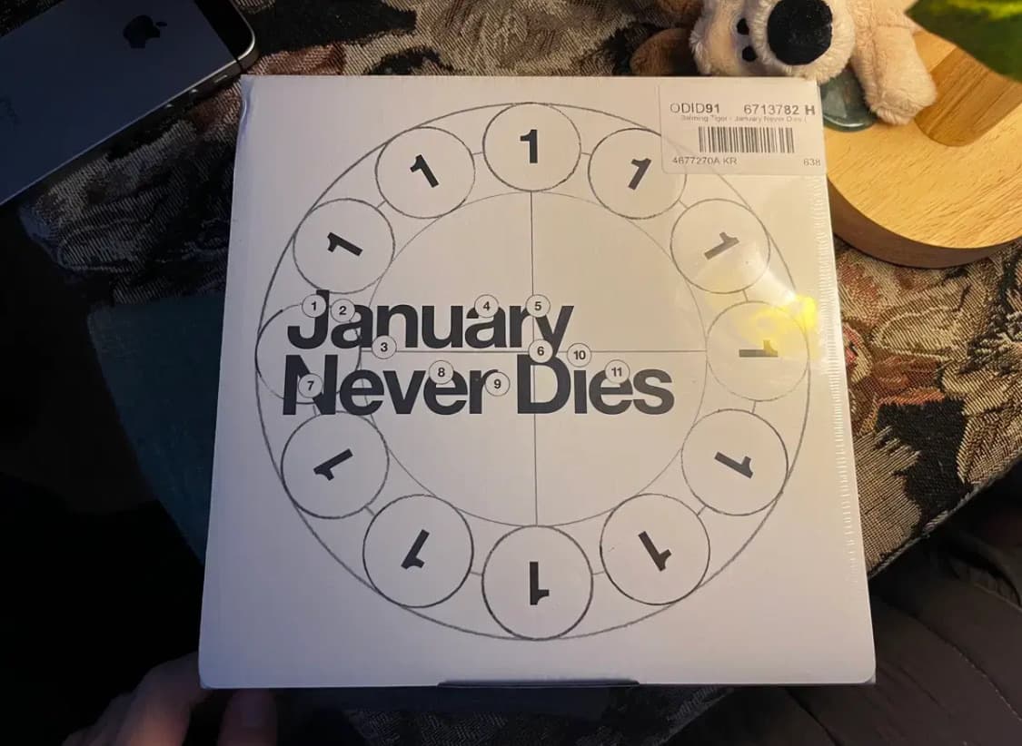 [미개봉] Balming Tiger - January Never Dies 상품이미지1