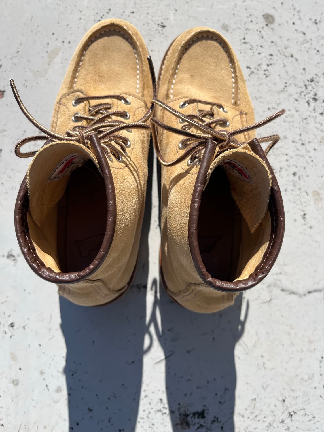 (265) 레드윙 목토 8833 호손 애빌린 러프아웃 상품이미지10