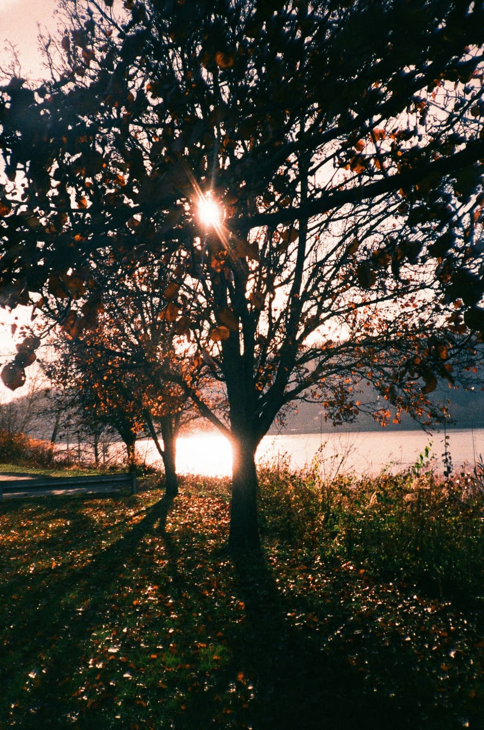 작례O 클래식 감성 캐논 스내피 Q 필름카메라 빈티지 필카 상품이미지3