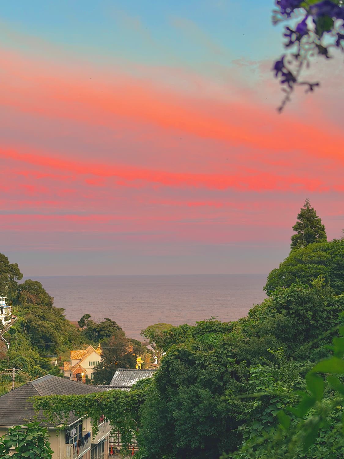 ⭐︎민트급⭐︎ 파나소닉 루믹스 LUMIX DMC-FX66 풀세트 상품이미지10