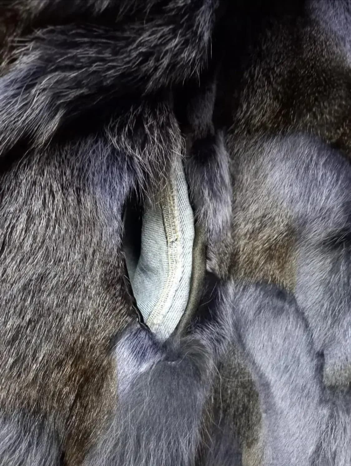 새 편집샵 디자이너 라쿤.폭스퍼 데님 퍼 자켓 F 상품이미지6