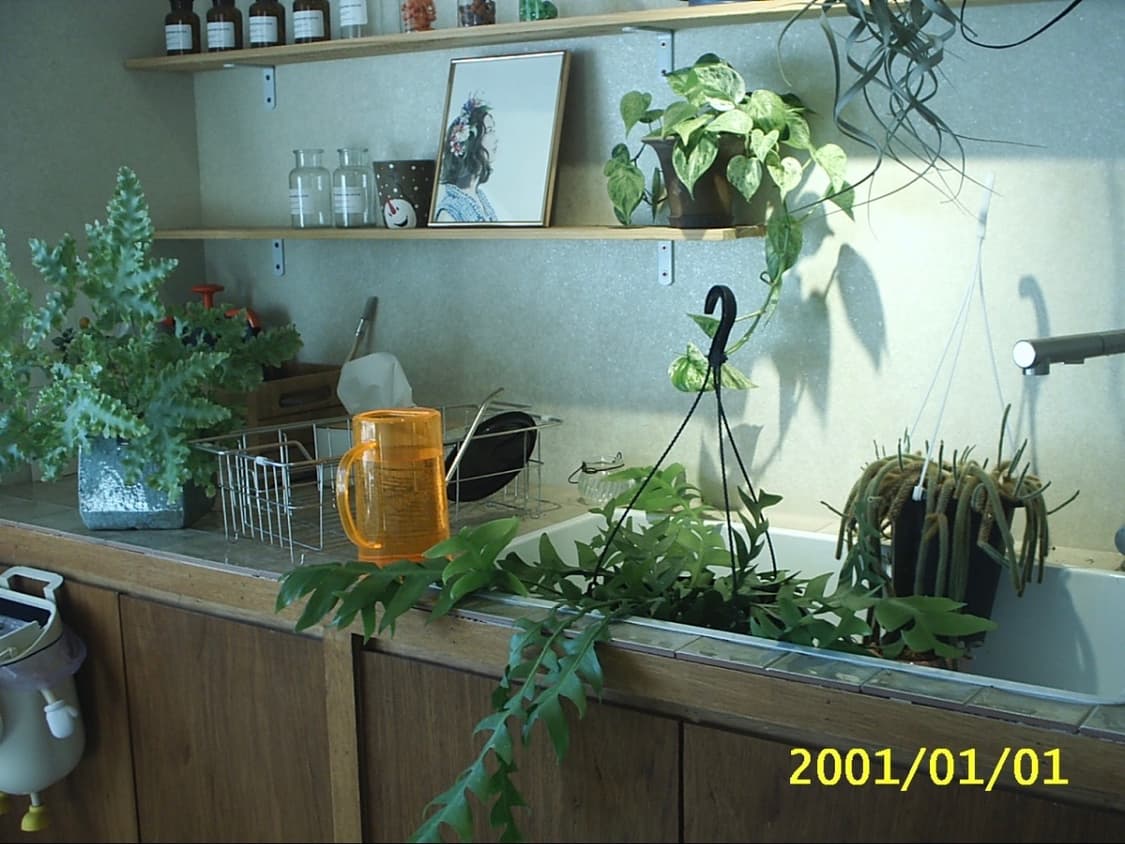 삼성 케녹스 디지맥스 201 빈티지 디지털 카메라 디카 상품이미지6