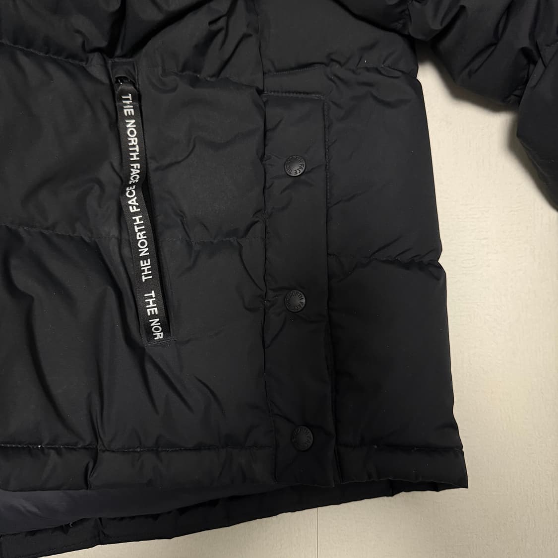 노스페이스 화이트라벨 에글론 EX 다운 자켓 블랙 100 상품이미지5