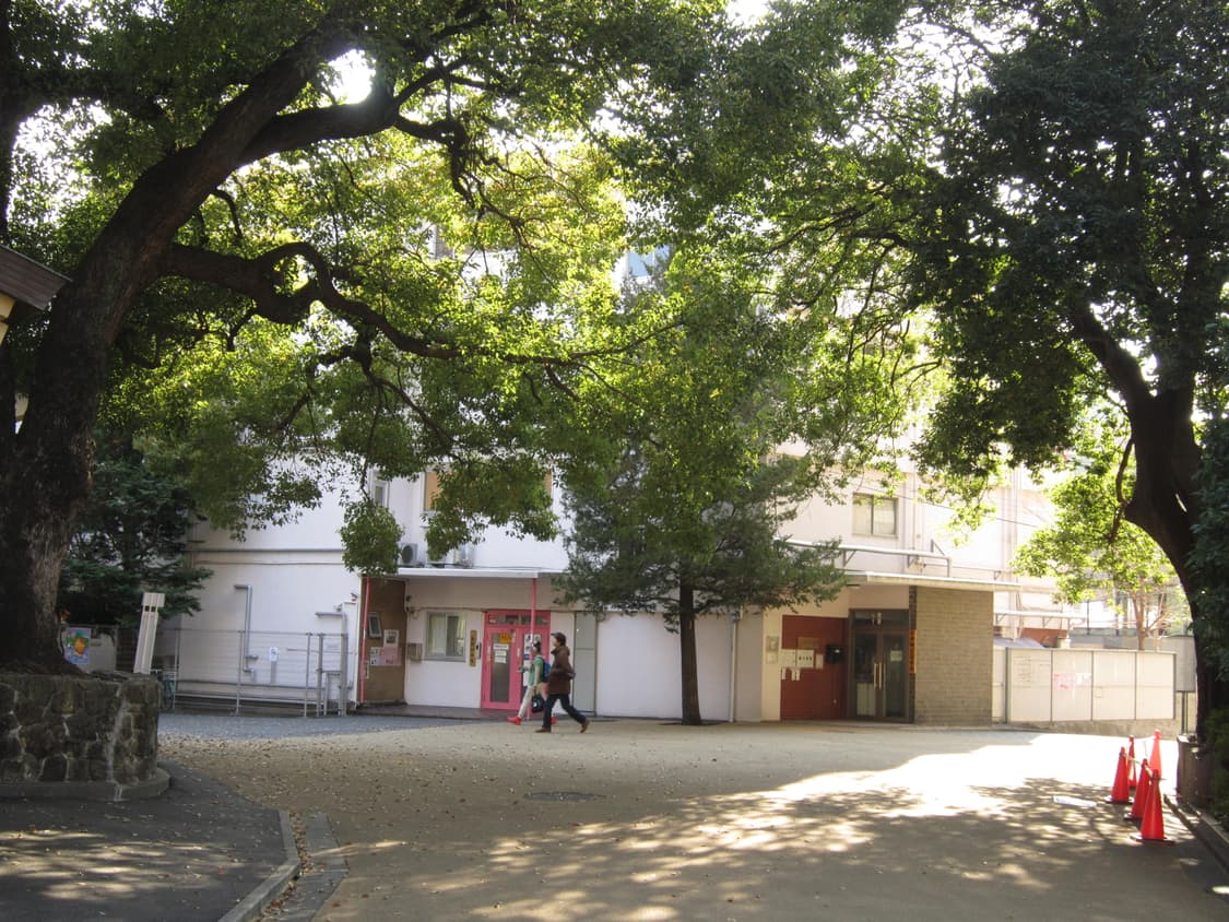 새상품 급 조이 빈티지 디카 익서스 210 익시 10 작례o 상품이미지3