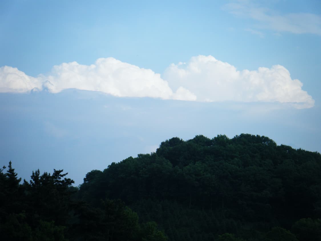 파인픽스 Z30 상품이미지5