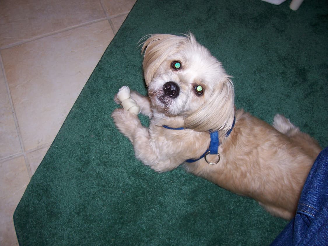 코닥 이지쉐어 CW330 빈티지 디지털카메라 상품이미지8