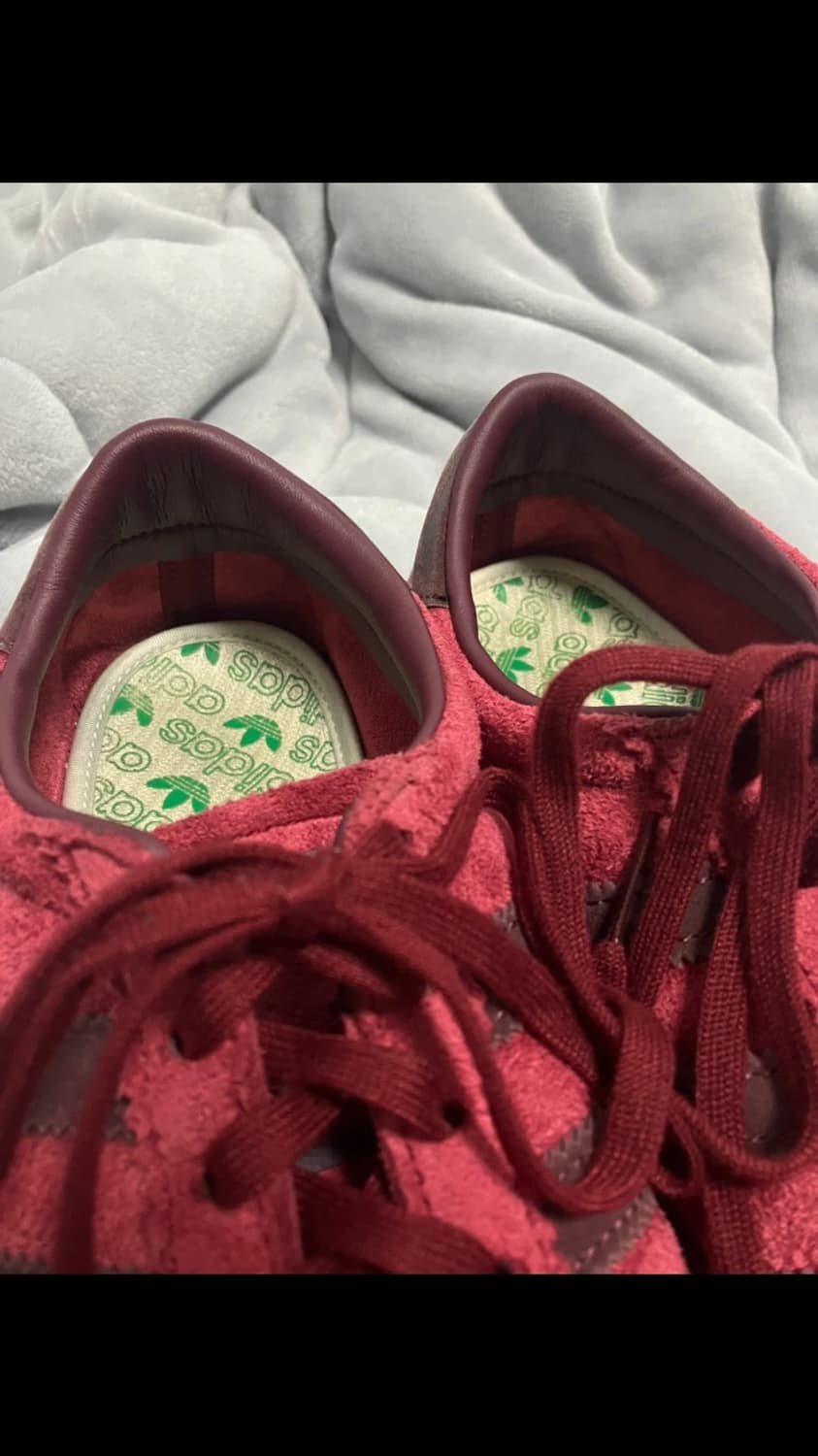 아디다스 토바코 버건디 265 상품이미지6