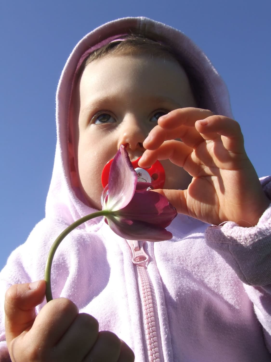 작례O 초소형 하이엔드 후지필름 파인픽스 s5600 디지털카메라 빈티지  상품이미지6