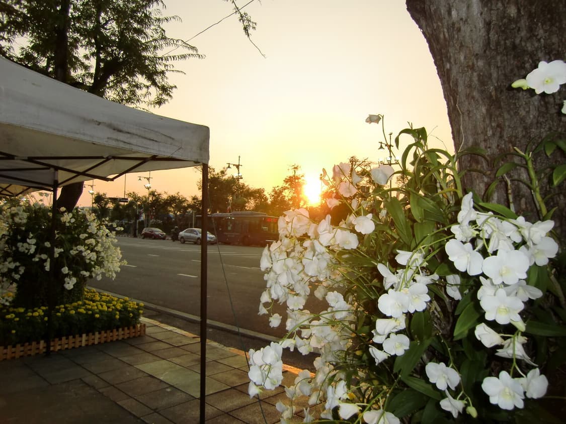 (츄디카)카시오 엑슬림 Casio Exilim EX-H10 실버 상품이미지4