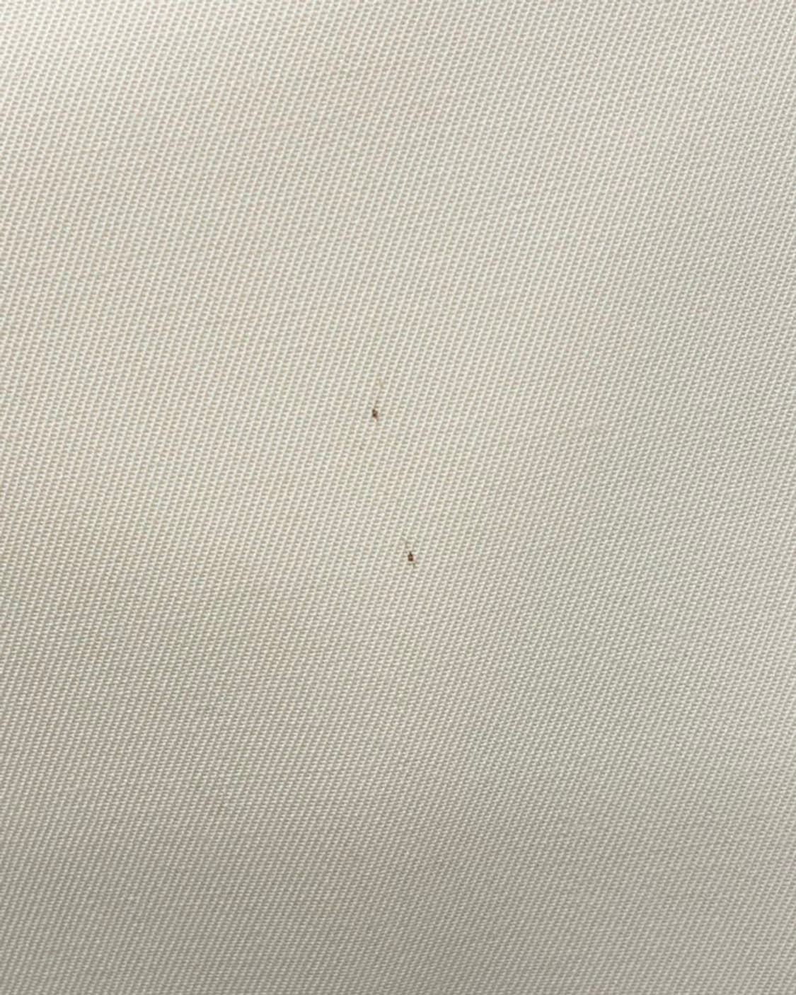 셀린느 베이지 메탈 링 미디 스커트  상품이미지7