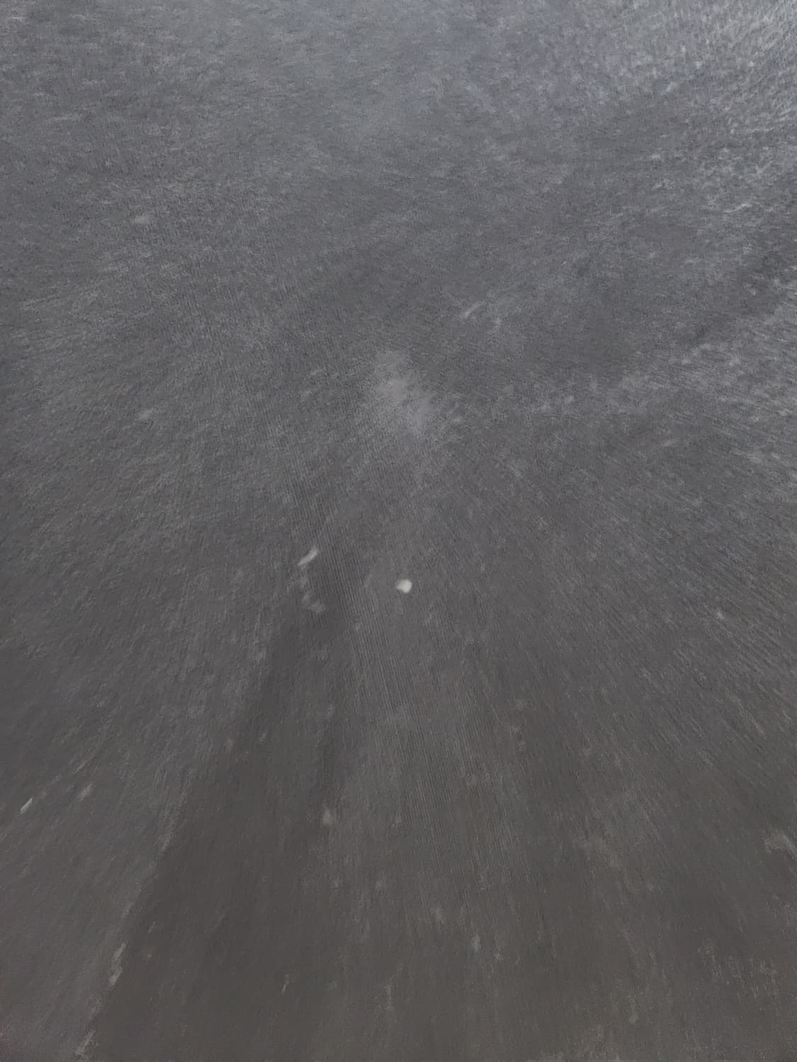 스톤아일랜드 맨투맨 상품이미지4