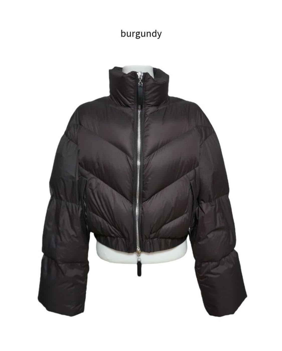 덕다운 브라운 숏패딩 상품이미지3