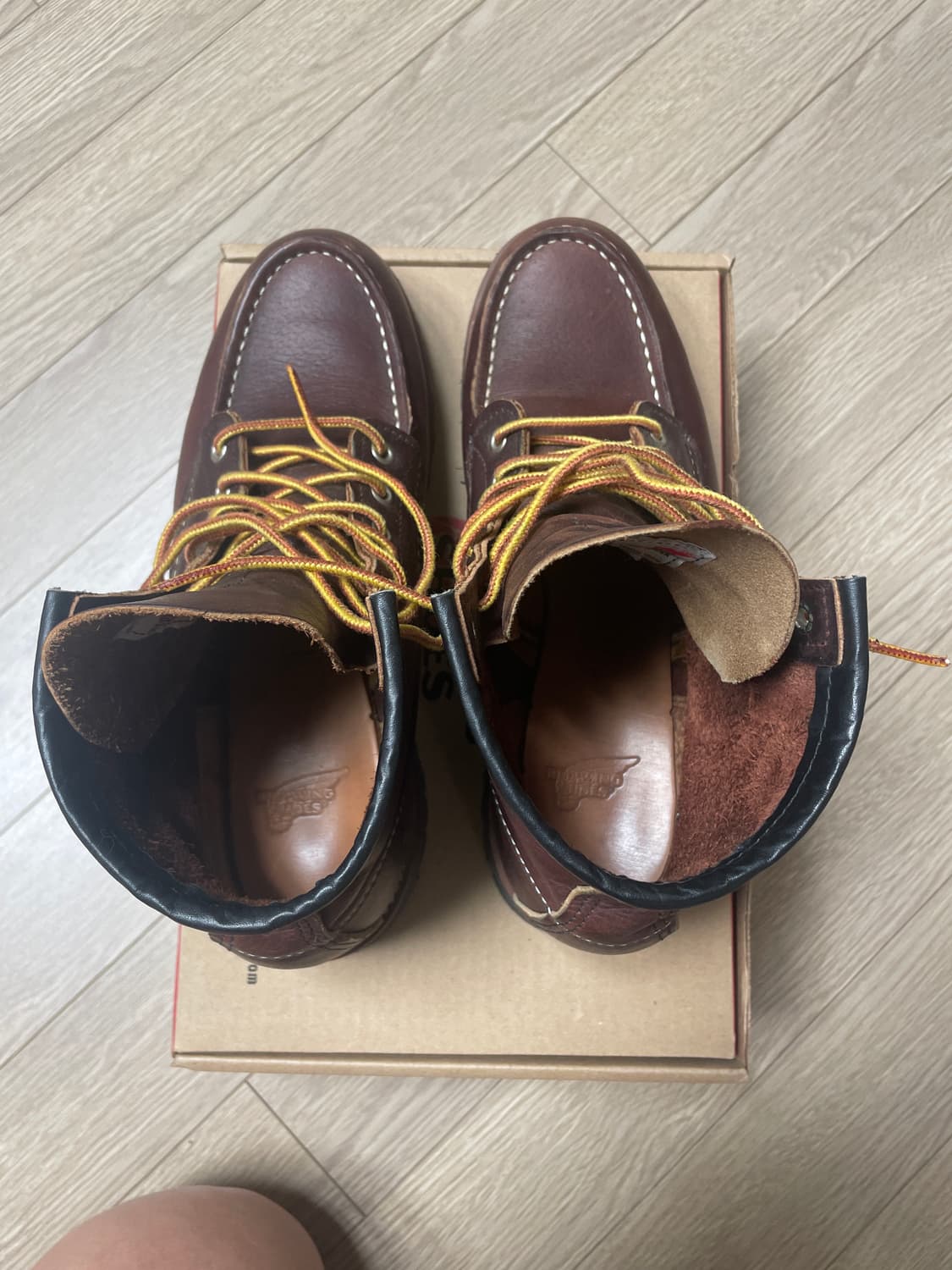 레드윙8146 상품이미지4