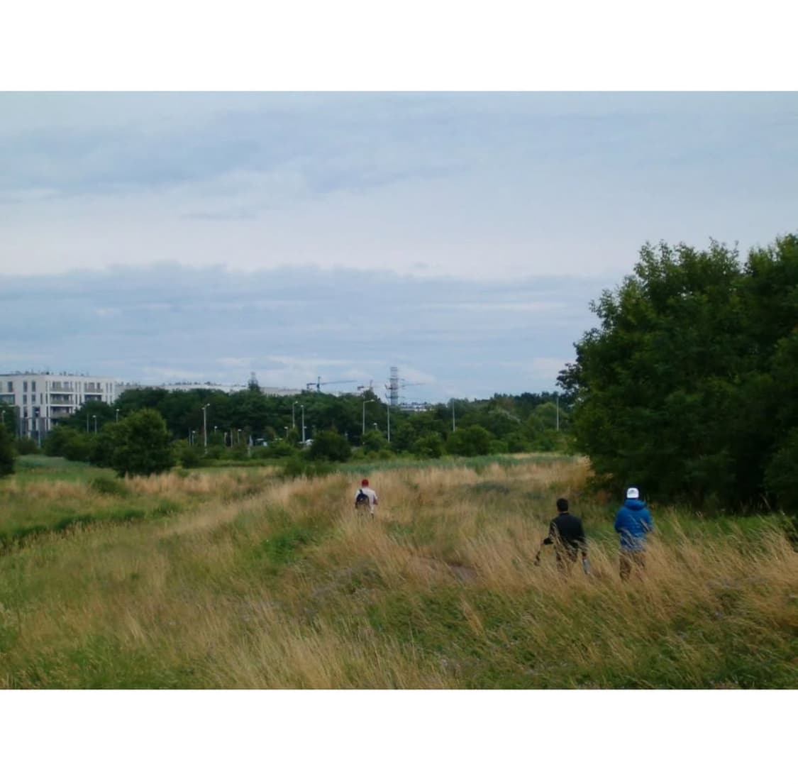 Hp 포토스마트 735 디지털카메라 상품이미지10