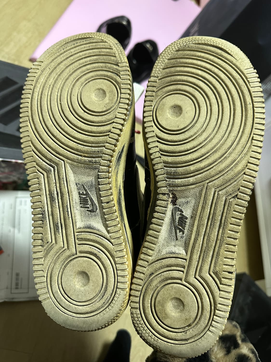 [270] 지디포스 상품이미지2