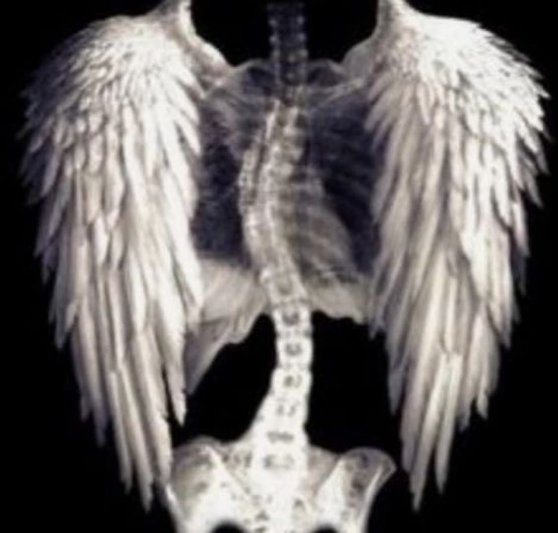 lgriyh님 개인결제창 상품이미지1