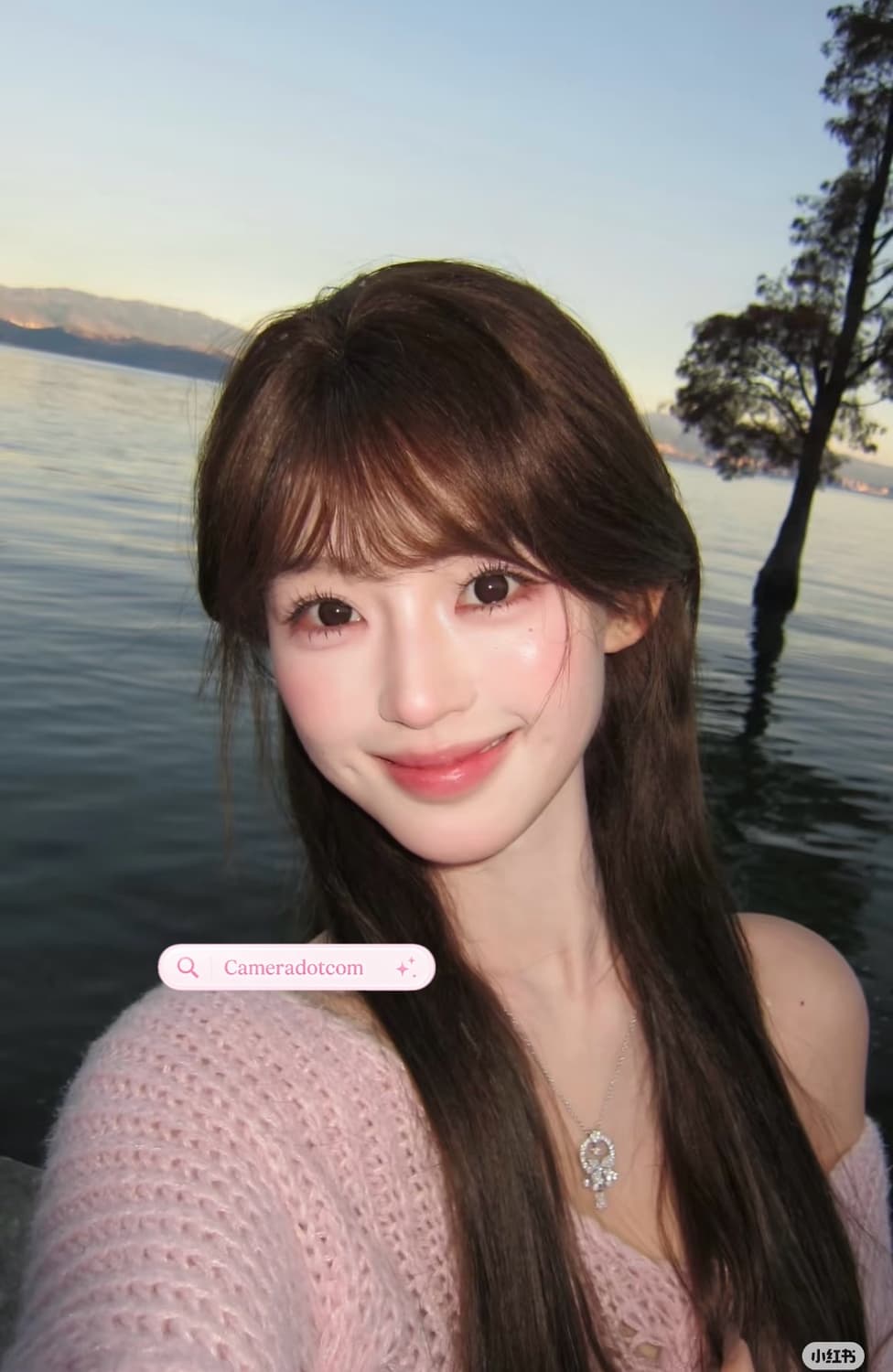 한국판풀박!) Canon 캐논 익서스 310 익시 31 IXUS 310 상품이미지4