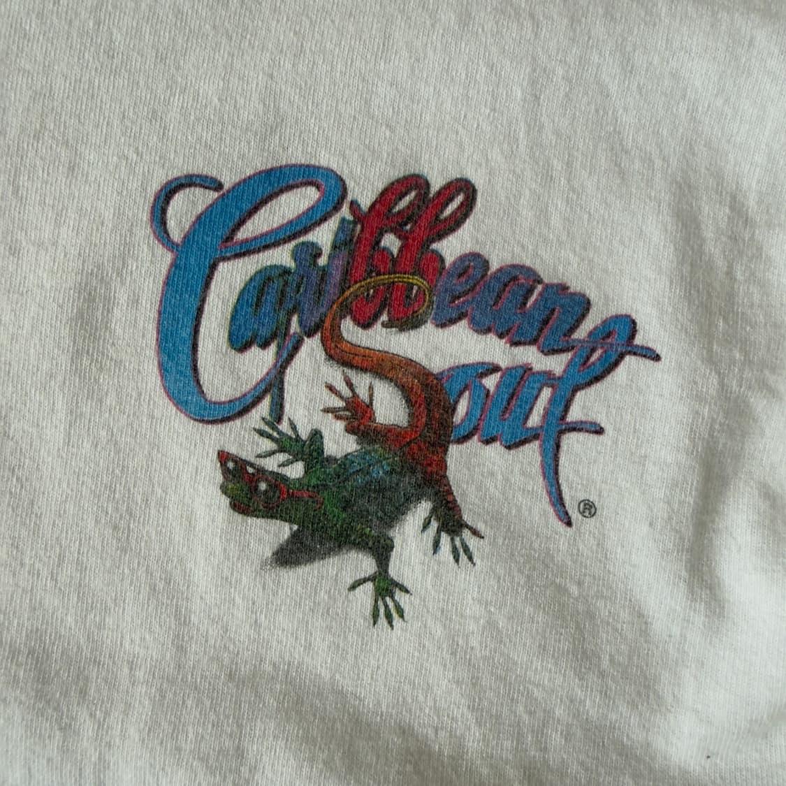00s got salt? USA 빈티지 티셔츠 롱슬리브 상품이미지5