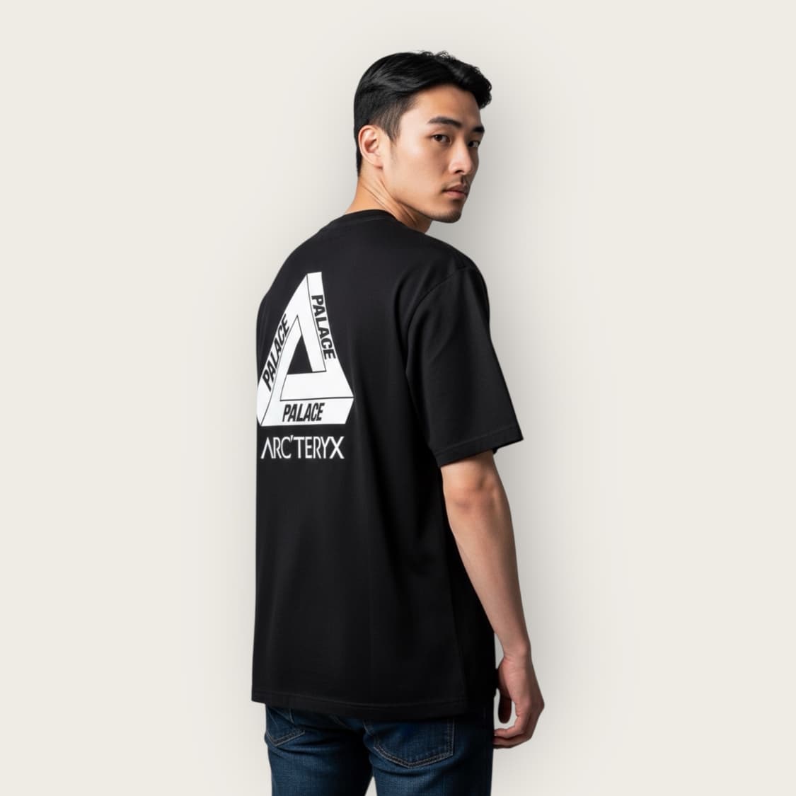 L/ 아크테릭스 x 팔라스 T-shirts Black 상품이미지1