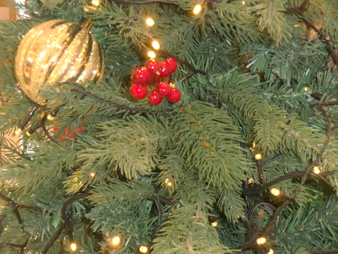 (작례 있음) 카시오 엑슬림 H10 골드 상품이미지9