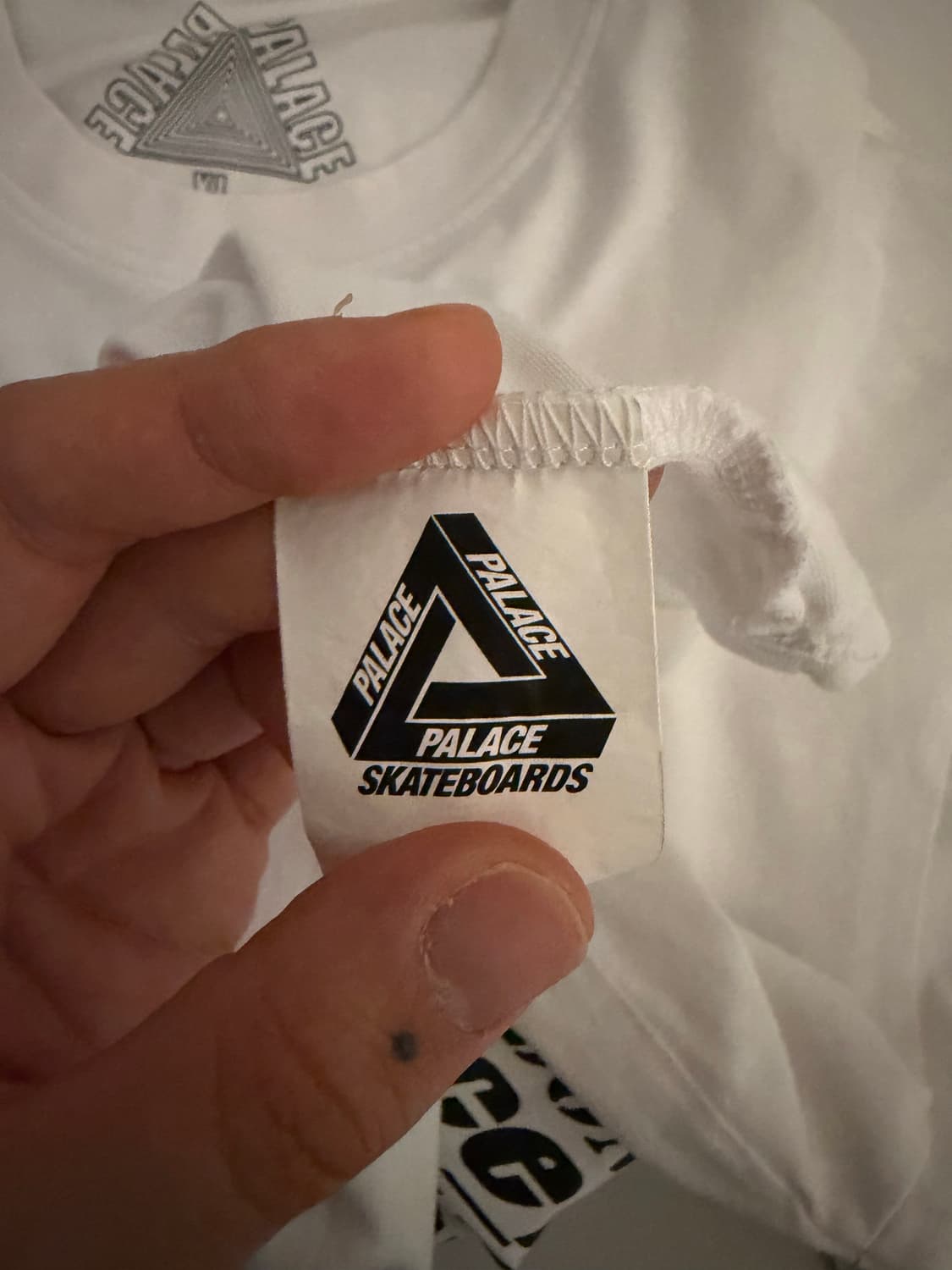 팔라스 22FW 트라이텍스트 티셔츠 화이트 XL 상품이미지8