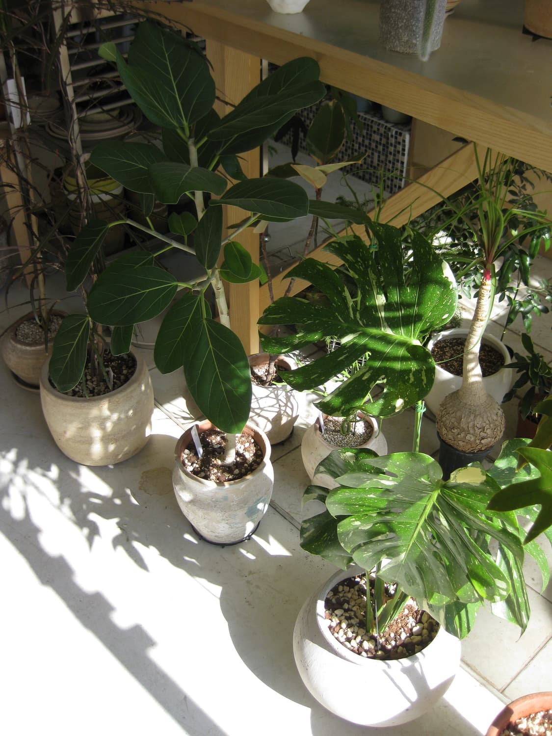 캐논 익시25is ,익서스85is (작례O) 상품이미지8