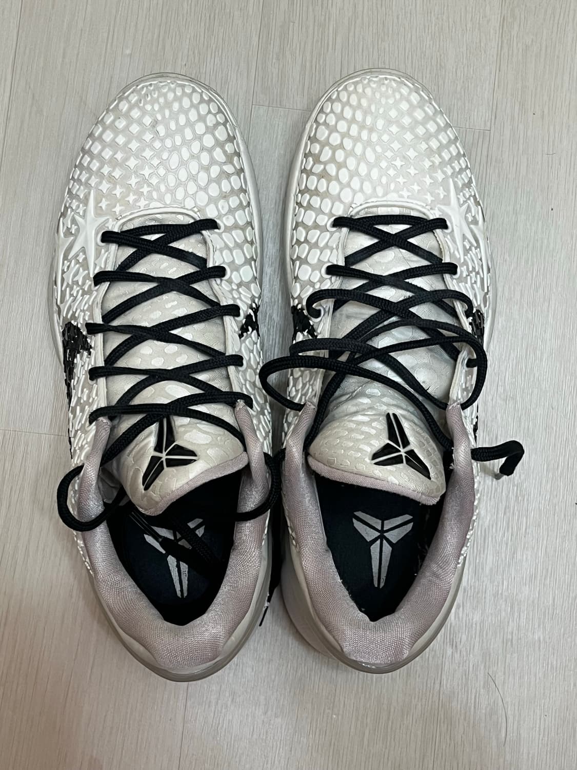 코비6 프로트로 세일 275 상품이미지2