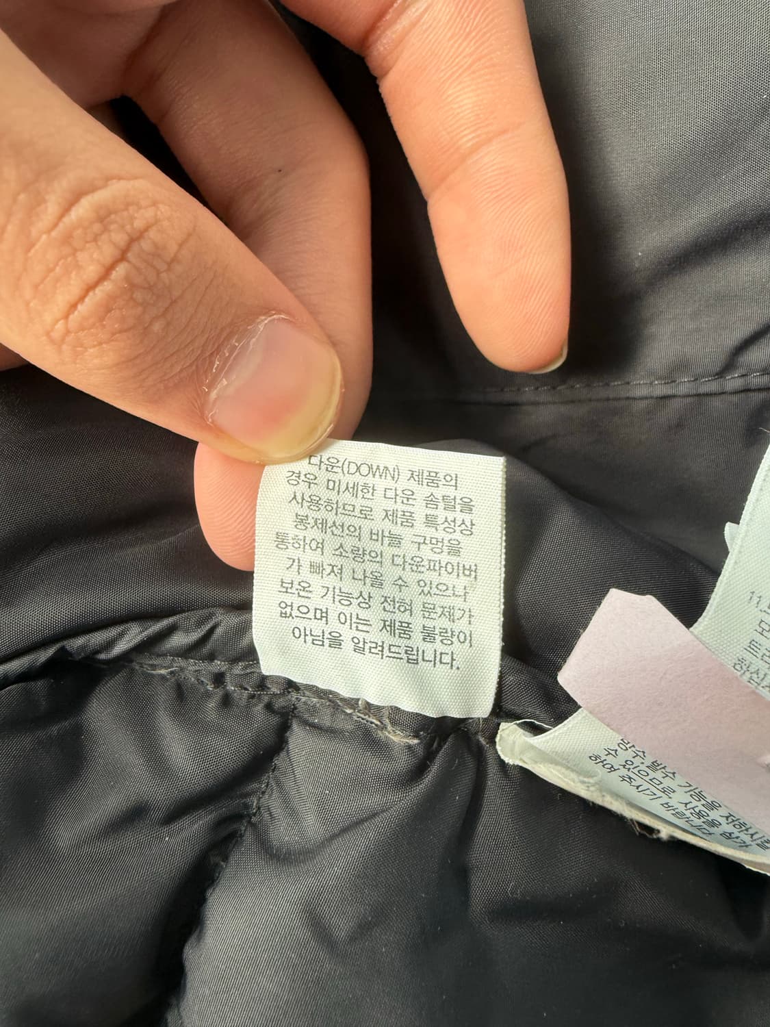 노스페이스 에코 눕시 1996 상품이미지8