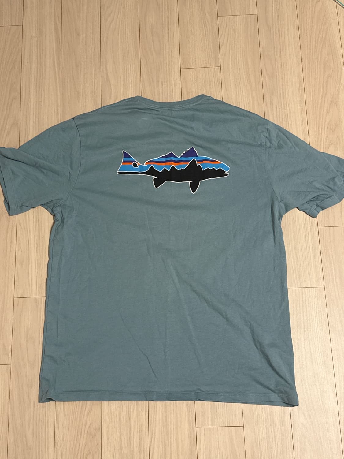 파타고니아 반팔 상품이미지1