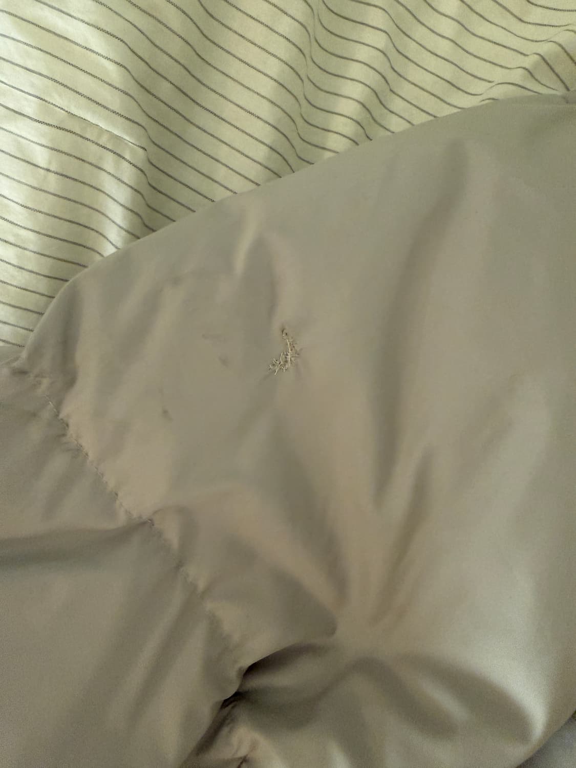 유니폼 브릿지 21fw light down parka light grey 상품이미지6