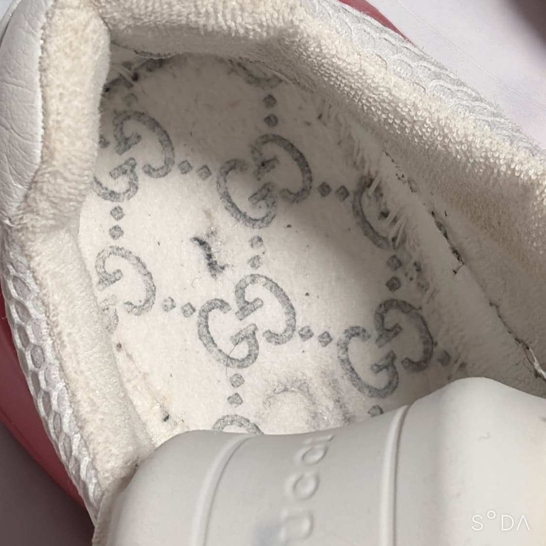 구찌 웹 메시 라이톤 스니커즈 상품이미지7